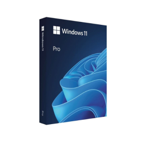 Microsoft Windows 11 Pro 64-bit Eng USB FPP HAV-00163